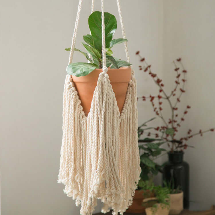 Macramé Colgante Banyan Net